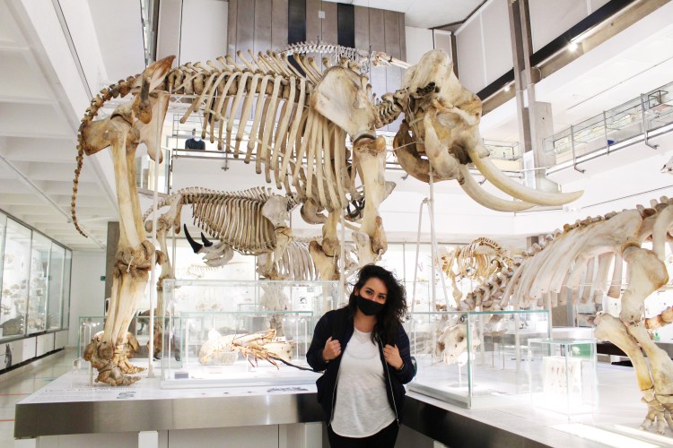 A brunette woman standing in front of a mammoth skeleton display in a museum.