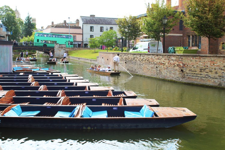 A line of parked punting boats on the river in Cambridge.